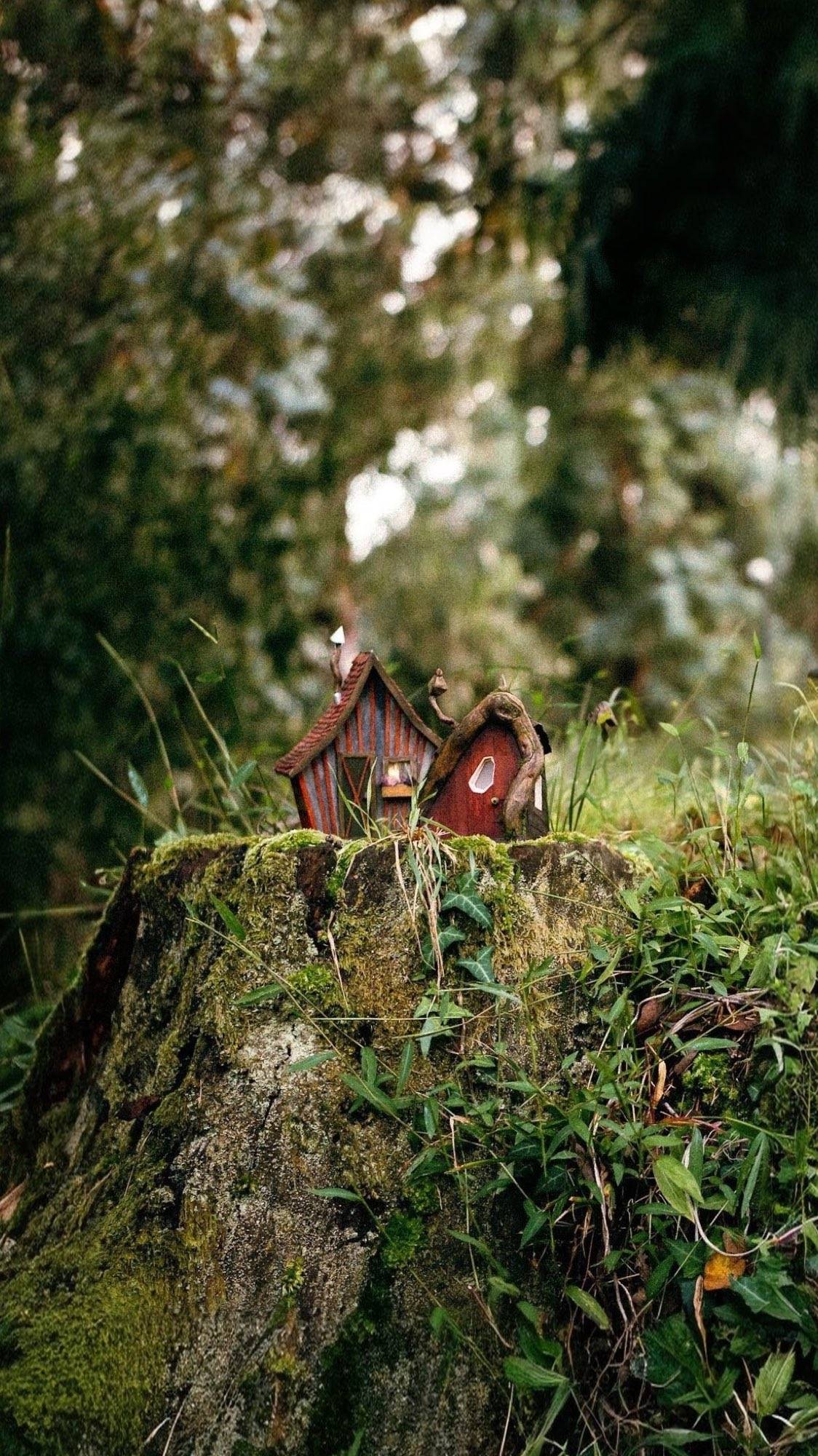 The Tilted Bark Cottage beside another cottage on the mossy stump, one under a driftwood arch