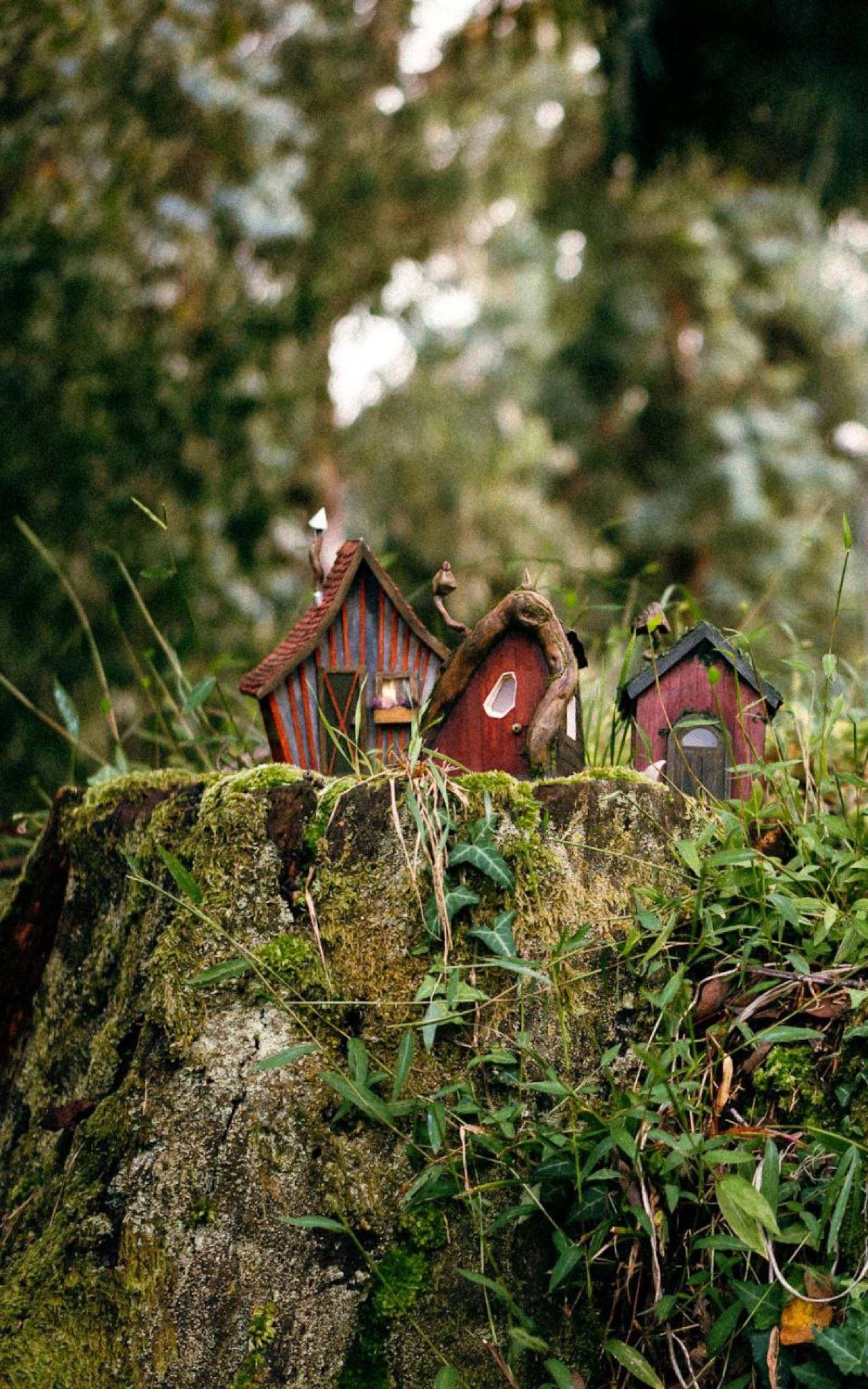 The Square Cottage standing with two of the other cottages on the stump in daylight