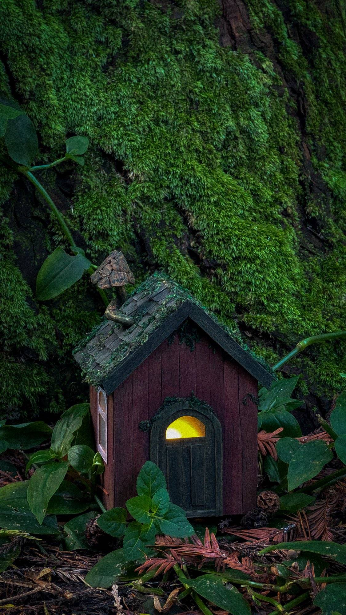 The cottage against a thick bank of green moss, the doorway the only light in the frame