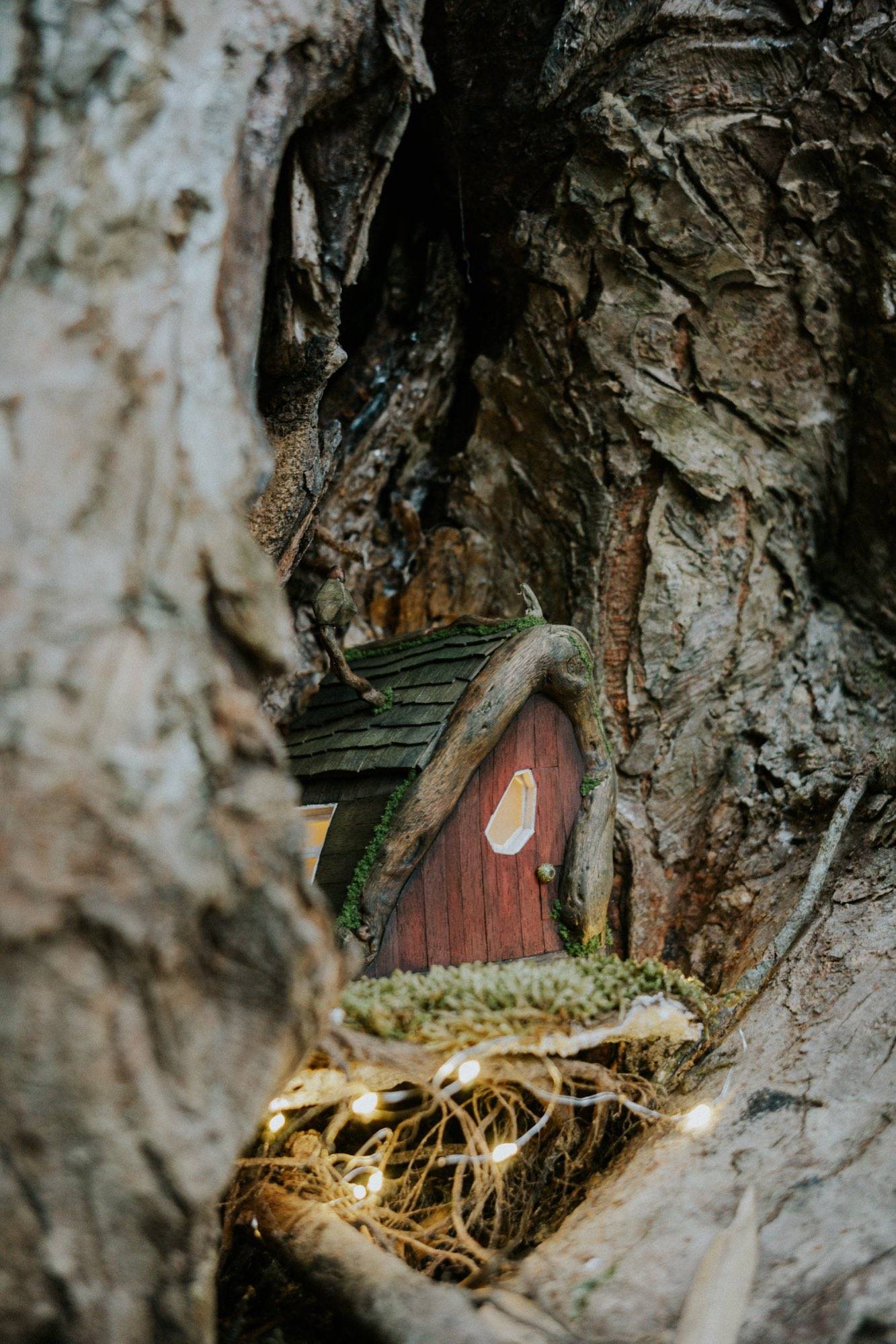 A small cottage with a mossy shingled roof set into a hollow in tree bark, a lit window in its door and fairy lights below